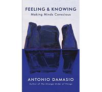 Feeling and Knowing: Making Minds Conscious