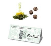 Feelino Fiori di tè, 6 varietà diverse