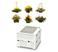Feelino Fiori di tè, 6 varietà diverse