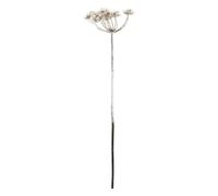 FEERIC LIGHTS & CHRISTMAS - BCH Allium Snow h98cm