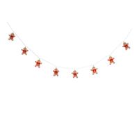 Feeric lights et christmas - Gd int pe 10l bc l165 p