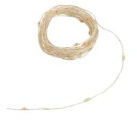 Feeric lights et christmas - Gn int 5m 100l ml fx cop p