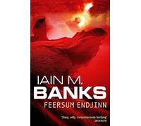 Feersum Endjinn