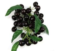 Feeshoppher Set di frutta artificiale decorativo con Longan, litchi, mirtilli e ciliegie realistici per cucina, sala da pranzo, vetrina di negozi, oggetti di scena fotografici e ornamento per la casa