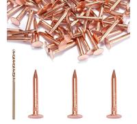FEETER Chiodi in rame per coperture e barche | 25,4 mm Ø3,05 mm testa 8 mm | Rame C11000 puro al 99,95%, chiodi tetto 25,4 mm Ø 3,05 mm testa 8 mm, kit 120 + trapano 1,6 mm per installazione