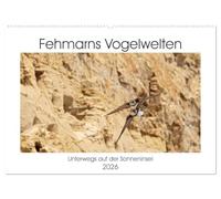Fehmarn Vogelwelten (Wandkalender 2026 DIN A2 quer), CALVENDO Monatskalender: Die Vögel auf der Insel Fehmarn