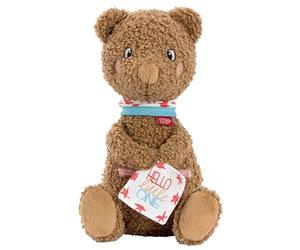 Fehn Peluche Orso Fred Hello little One - Compagno per la nanna | Compagno di giochi e protettore, regalo per nascita o battesimo - da coccolare e per consolare il bambino