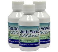 FEI FAN 3X Dea Caldo Soffio Balsamico, Pino e Eucalipto, Profumatore per Caloriferi e Umidificatori 125ml