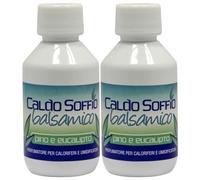 FEI FAN Dea Caldo Soffio Balsamico, Pino e Eucalipto, Profumatore per Caloriferi e Umidificatori 125ml (2 unità)