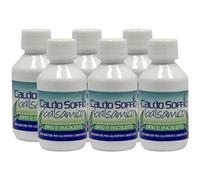 FEI FAN Dea Caldo Soffio Balsamico, Pino e Eucalipto, Profumatore per Caloriferi e Umidificatori 125ml (6 unità)