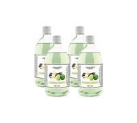 Fei Fan Diffusore Ambiente 26 Fragranze Naturali e Intense ad Alto Concentrato di Essenza - Made in Italy Formato Ricarica da 500ml - 4 Flaconi (Vaniglia e Lime)