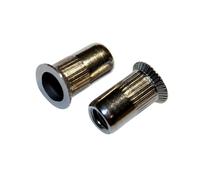 FEIFAR Befestigungstechnik Dado per rivetto cieco a testa svasata zigrinato in acciaio inox