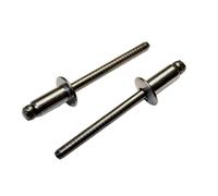 FEIFAR Befestigungstechnik Rivetto cieco a testa piatta in acciaio inox / mandrino in acciaio inox scanalato