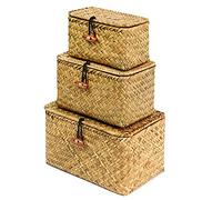 FEILANDUO Set di 3 cestini portaoggetti con coperchio, in vimini intrecciato a mano, organizer per trucchi da scrivania, contenitore multiuso (S/M/L)