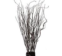 FeiLix 10 rami artificiali decorativi secchi, 70 cm, piante verdi finte per interni ed esterni, vintage, per casa, giardino, hotel, ufficio, feste, decorazioni per cucina