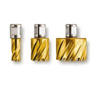 Fein Punta elicoidale HSS Dura Weldon Quantità:1