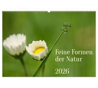 Feine Formen der Natur (Wandkalender 2026 DIN A2 quer), CALVENDO Monatskalender: Feine Muster und Formen aus der Natur entfalten sich durch alle ... der Umwelt mit neuen Augen zu entdecken.