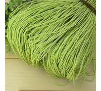 FEINIAO 600 Metri 500g Filato di Paglia di Rafia Naturale per Uncinetto Lavorato a Mano Cappello Estivo Borsa Cuscino cestini Materiale per Maglieria Fai da Te