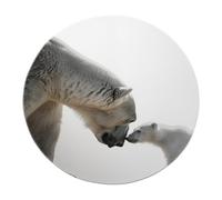 FEIPUHOME Art Animale Tenerezza Tema Rotondo Tappeto Orso Polare Madre e Cucciolo Affettuoso Modello di Interazione Tappeto Soggiorno Camera da letto Home Decor Pile Basso 80x80cm