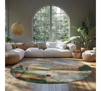 FEIPUHOME Art Paesaggi lungo il fiume tappeti rotondi l'arcobaleno Stampe di pittura famose Grande tappeto da comodino Morbido pelo basso per l'ufficio di casa Soggiorno Lavabile 160x160cm