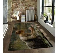 FEIPUHOME Art Tappeti in stile rococò donna che raccoglie il tappetino da tiro di loto estetica moderna ingresso antiscivolo per la camera da caffè sedia tappeto 160x200cm