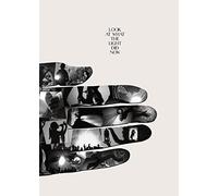 Feist - Look at what the light did now (+ CD)