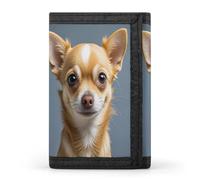FekiLoot Carino Chihuahua Portafoglio Portatile Tri Fold Portafoglio con Cerniera Portamonete per Le Donne Auto Di Credito