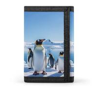 FekiLoot Penguin Antarctica Ice Wallet Portatile Tri Fold Portafoglio con Cerniera Portamonete per le Donne Auto di Credito