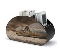 FekiLoot Squirrel Just Laying - Supporto per telecomando multifunzione, con 5 scomparti, in pelle PU, per riporre telecomandi TV, comodino, scrivania, per ufficio e casa