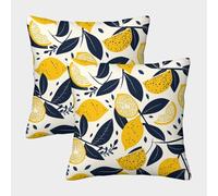 FELASBUID Lemon Slices-Vintage Botanical Pattern Federe Cuscini Per Divano Decorative Fodere Per Cuscini Set 2 Pezzi Moderni Da Letto Per Salotto 40x40cm