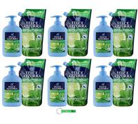 Felce Azzurra Sapone Liquido Sapone Menta e Lime Pacchetto di prova/Ricarica 6 × 500 ml + Sapone 6 × 300 ml Sapone per le mani con profumo di culto dall'Italia + Portachiavi Beni Culinari