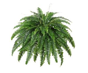 Felce Resistente ai Raggi UV - Felci Artificiali da Esterno, 52 cm Resistente ai Raggi UV Realistica con 26 Fronde, Felci Artificiali per Esterni Grandi per Giardino Patio Portico Via Interno Casa Sog