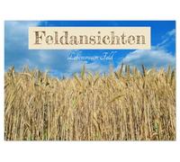 Feldansichten (Tischkalender 2026 DIN A5 quer), CALVENDO Monatskalender: Schöne Ansichten von Feldern im Frühling, Sommer und Herbst