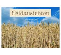 Feldansichten (Wandkalender 2026 DIN A2 quer), CALVENDO Monatskalender: Schöne Ansichten von Feldern im Frühling, Sommer und Herbst