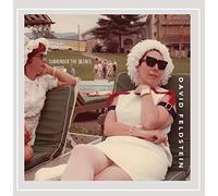 Feldstein David - Surrender The Silence