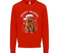 Felice Stagione Natale Divertente Gatto Xmas Bambini Felpa