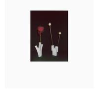 Félicia Atkinson The Flower and the Vessel (CD) Album