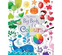 Felicity Brooks Big Book of Colours (Libro di cartone) Big Books