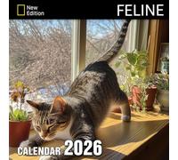 Feline Calendar 2026: Sleek hunters and soft purrs filling the year with feline grace