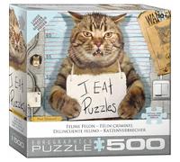 Feline Felon