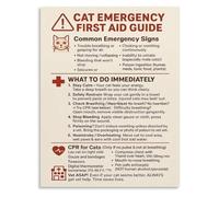 Feline First Aid Guide Poster Cat CPR Choking Emergency Instructions Wall Art for Pet Lovers(Unframed,16x24inch(40x60cm))