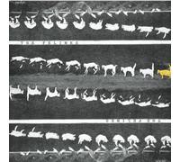 FELINES - 7-A MAN STUCK IN YOUR..