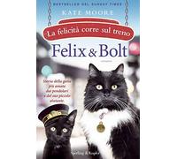 Felix & Bolt. La felicità corre sul treno