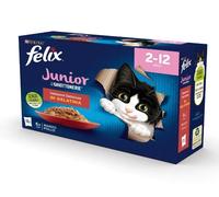 FELIX LE GHIOTT J 85G