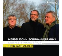 Felix Mendelssohn Mendelssohn/Schumann & Brahms: Complete Piano Trios (CD)