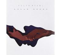 Felix Riebl Paper Doors (CD)