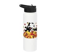 Felix The Cat Fall Leaf Pile Fun Stainless Steel Insulated Water Bottle