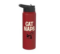 Felix The Cat Naps Stainless Steel Insulated Water Bottle
