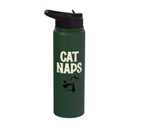 Felix The Cat Naps Stainless Steel Insulated Water Bottle