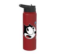 Felix The Cat Scaredy-Cat Halloween Stainless Steel Insulated Water Bottle